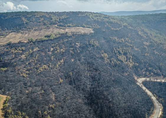 Bilecik'te orman yangınında zarar gören alanlar dronla görüntülendi