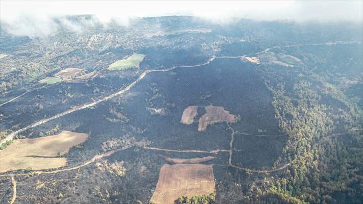 Bilecik'te orman yangınında zarar gören alanlar dronla görüntülendi
