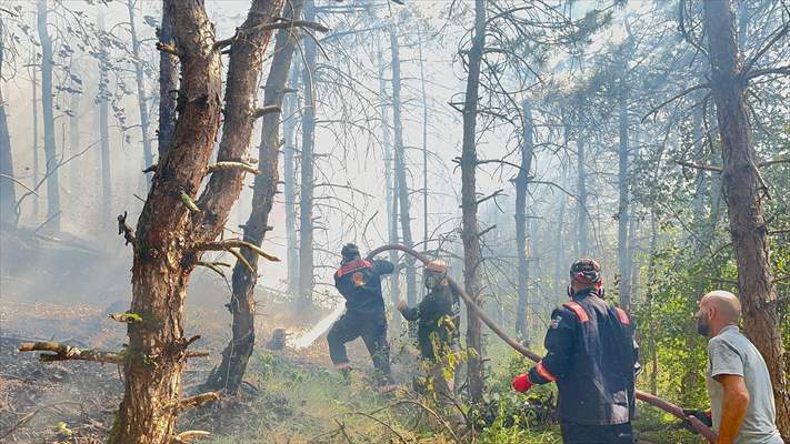Sakarya'da ormanlık alanda çıkan yangına müdahale ediliyor