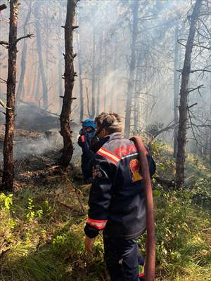 Sakarya'da ormanlık alanda çıkan yangına müdahale ediliyor