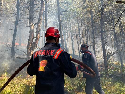 Sakarya'da ormanlık alanda çıkan yangına müdahale ediliyor