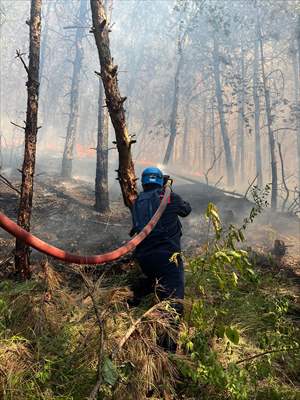Sakarya'da ormanlık alanda çıkan yangına müdahale ediliyor