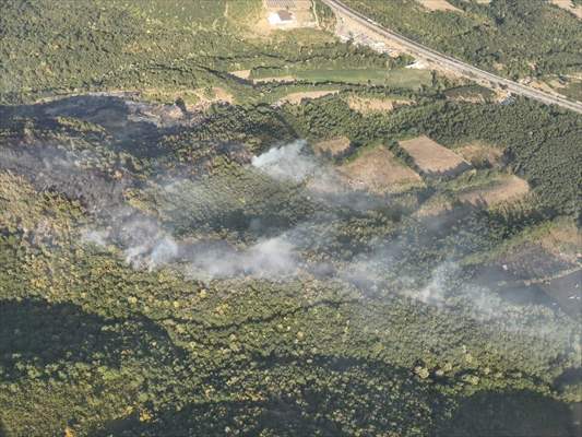 Sakarya'da ormanlık alanda çıkan yangın kontrol altına alındı