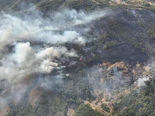Sakarya'da ormanlık alanda çıkan yangın kontrol altına alındı