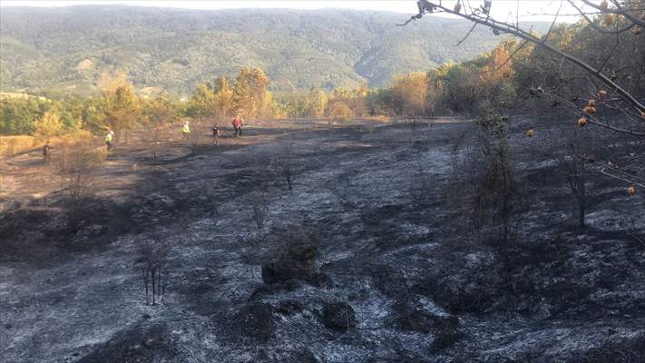 Sakarya'da ormanlık alanda çıkan yangın kontrol altına alındı