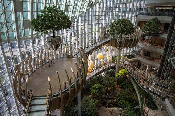 Forest-themed shopping mall in China