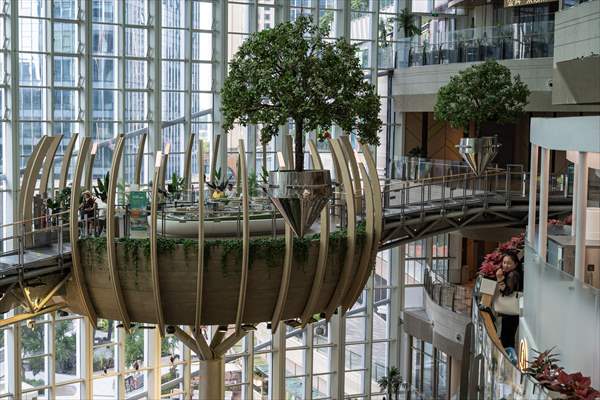 Forest-themed shopping mall in China