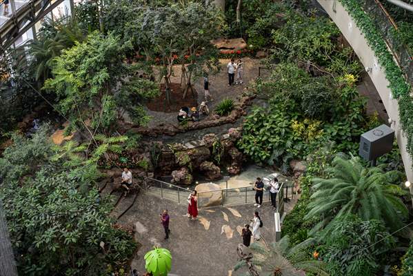 Forest-themed shopping mall in China