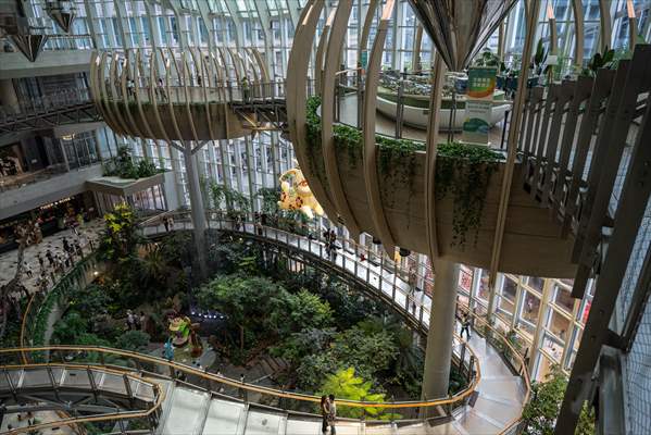 Forest-themed shopping mall in China