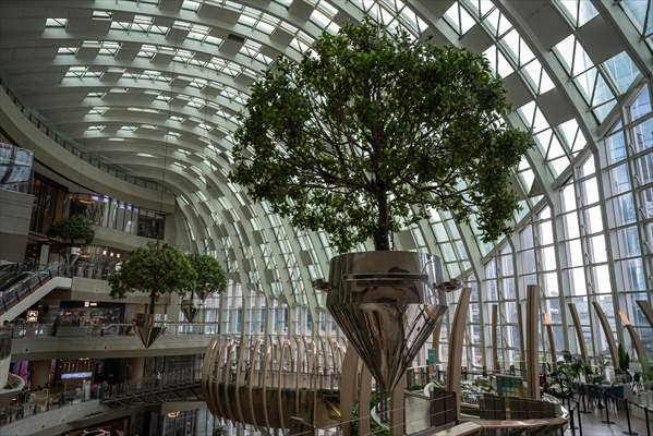 Forest-themed shopping mall in China