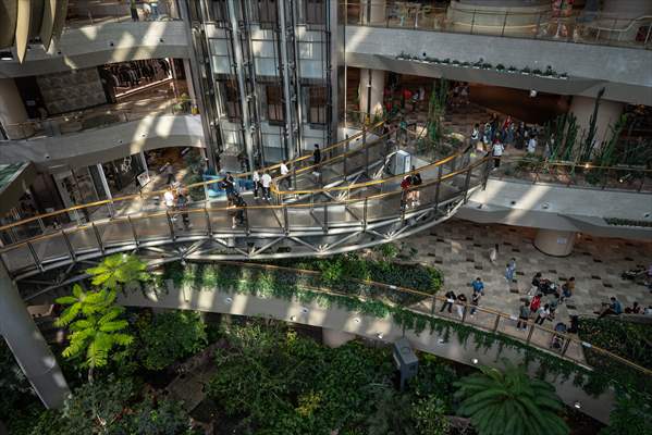 Forest-themed shopping mall in China