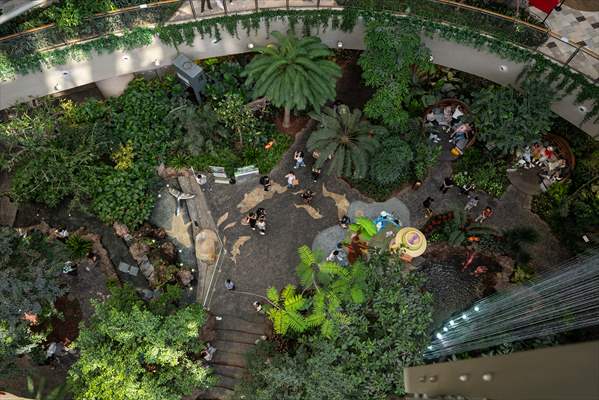 Forest-themed shopping mall in China