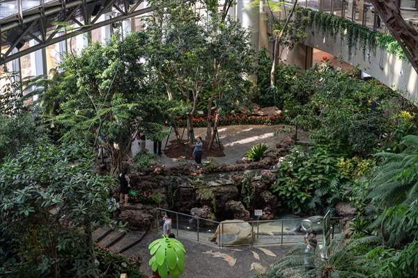 Forest-themed shopping mall in China