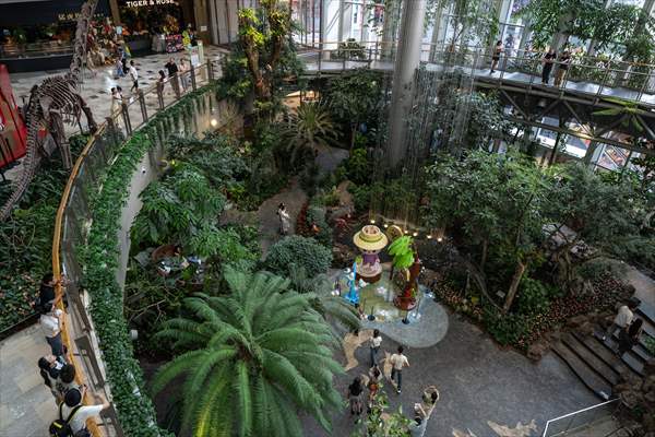 Forest-themed shopping mall in China