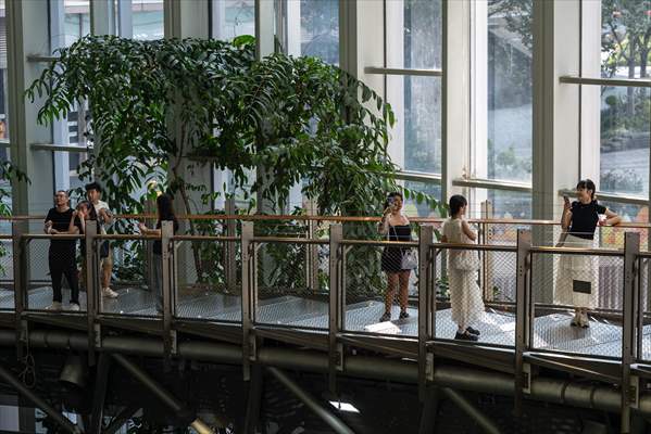 Forest-themed shopping mall in China