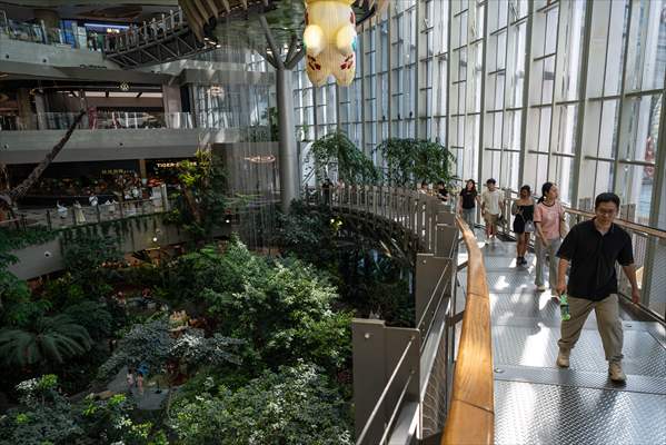 Forest-themed shopping mall in China