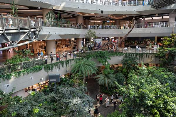 Forest-themed shopping mall in China