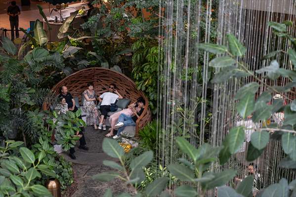 Forest-themed shopping mall in China