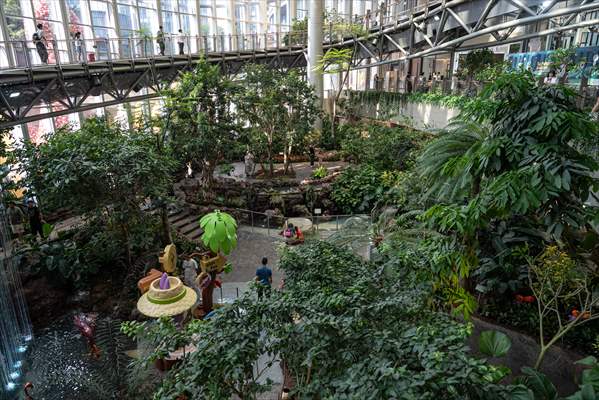 Forest-themed shopping mall in China