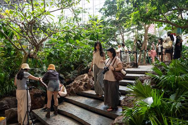 Forest-themed shopping mall in China