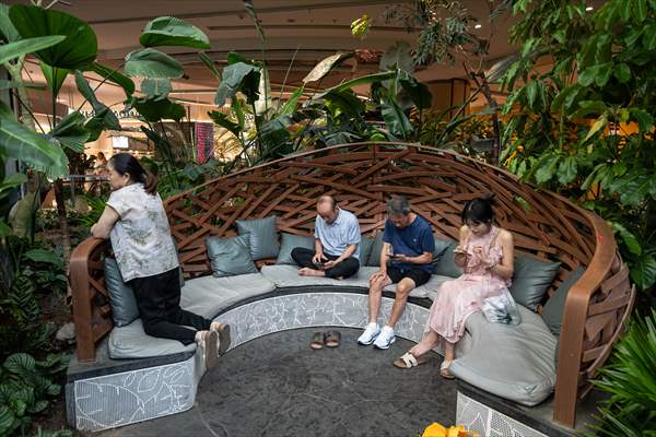 Forest-themed shopping mall in China