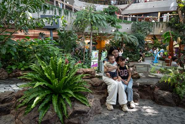 Forest-themed shopping mall in China