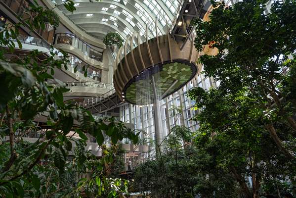 Forest-themed shopping mall in China