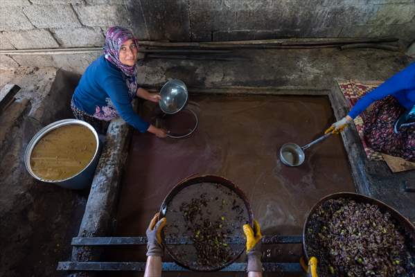 Hatay’da geleneksel “su seyti” yöntemiyle üretim devam ediyor