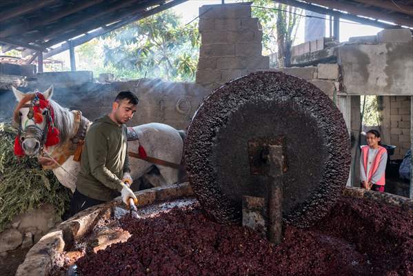 Hatay’da geleneksel “su seyti” yöntemiyle üretim devam ediyor