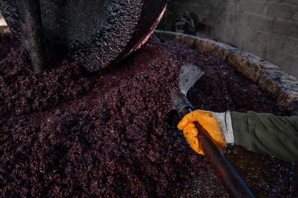 Hatay’da geleneksel “su seyti” yöntemiyle üretim devam ediyor