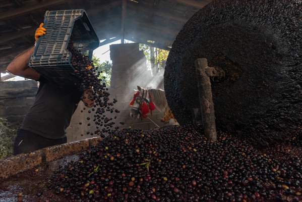 Hatay’da geleneksel “su seyti” yöntemiyle üretim devam ediyor