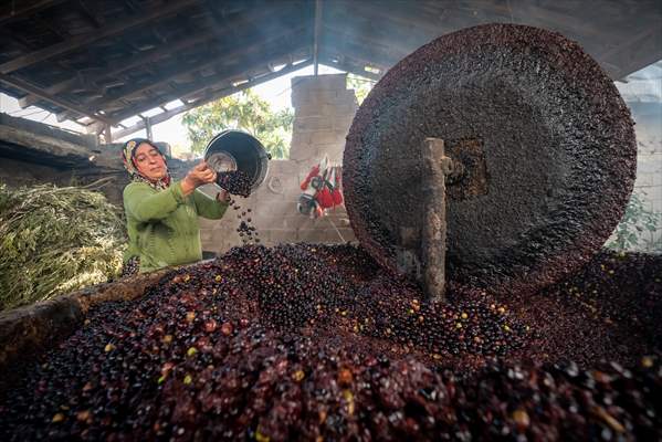 Hatay’da geleneksel “su seyti” yöntemiyle üretim devam ediyor