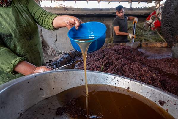 Hatay’da geleneksel “su seyti” yöntemiyle üretim devam ediyor