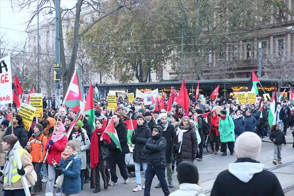 Pro-Palestinian demonstration in Vienna