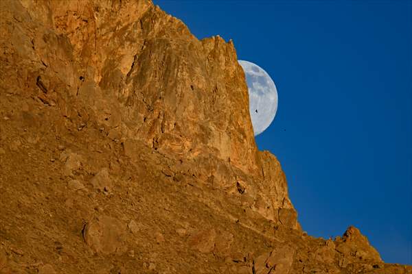 Wild goats spotted under full moon on Van’s mountain peaks