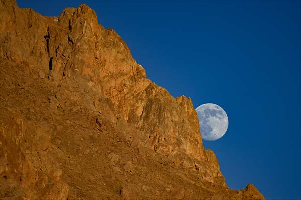 Wild goats spotted under full moon on Van’s mountain peaks