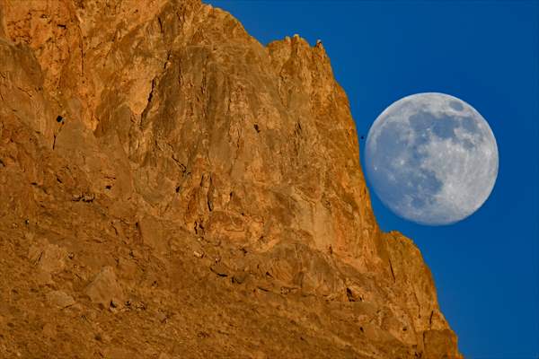Wild goats spotted under full moon on Van’s mountain peaks