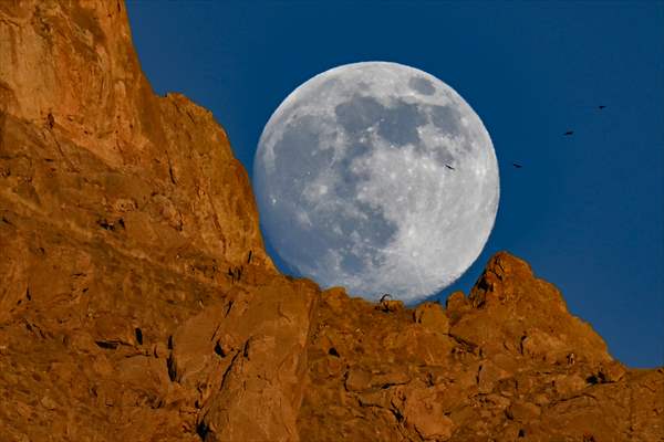 Wild goats spotted under full moon on Van’s mountain peaks
