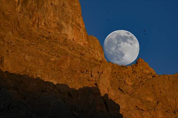 Wild goats spotted under full moon on Van’s mountain peaks