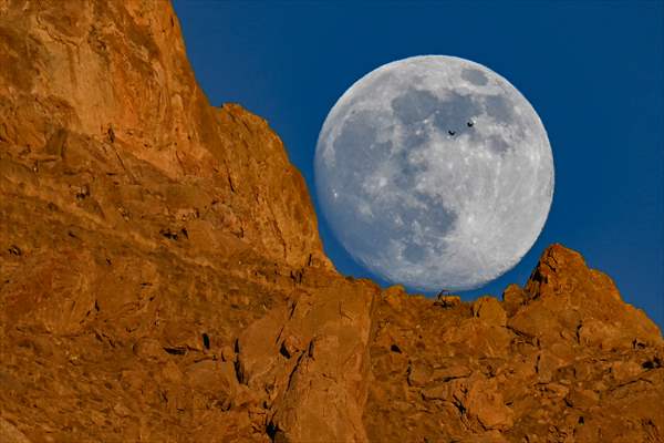 Wild goats spotted under full moon on Van’s mountain peaks