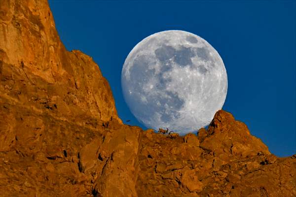 Wild goats spotted under full moon on Van’s mountain peaks