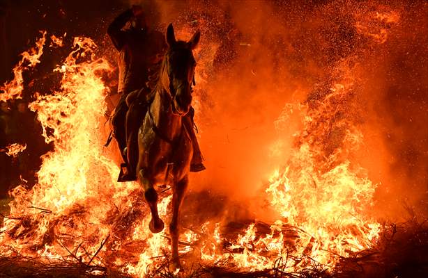 'Las Luminarias' festival in Spain