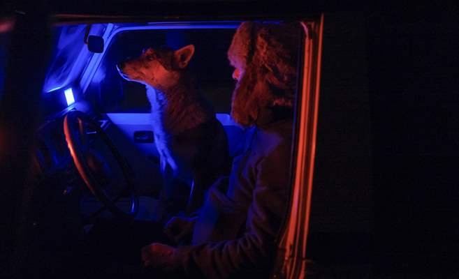 Sivas'ın bozkırında hayatını adadığı kurt köpekleri ve yırtıcı kuşlarıyla yaşıyor