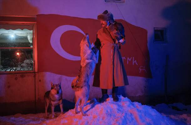 Sivas'ın bozkırında hayatını adadığı kurt köpekleri ve yırtıcı kuşlarıyla yaşıyor