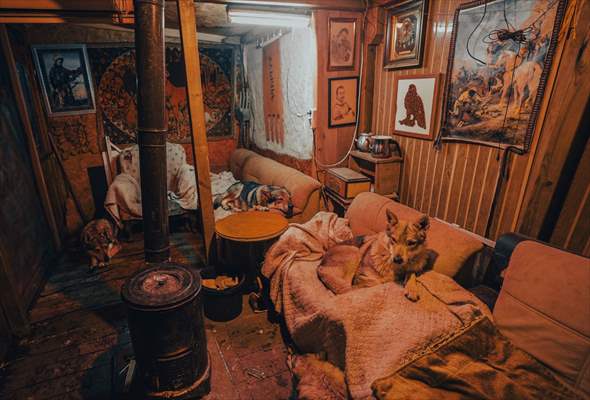 Sivas'ın bozkırında hayatını adadığı kurt köpekleri ve yırtıcı kuşlarıyla yaşıyor