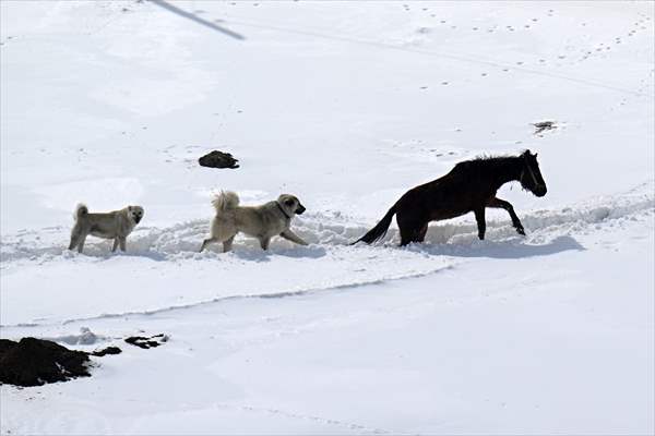 'Kar koridoru'ndan geçerek ilçeye ulaşıyorlar