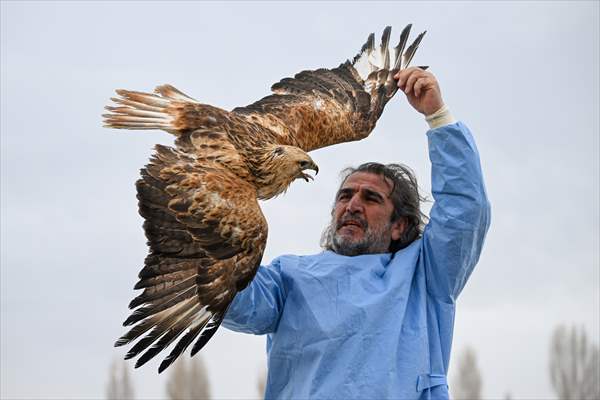 Wildlife Protection and Rehabilitation Center in Turkiye's Van treat wounded wild animals