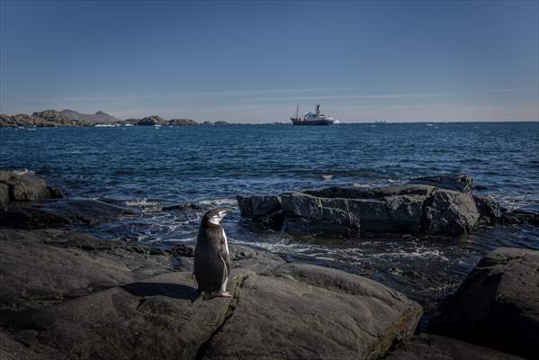 Turkiye's 10th National Antarctic Scientific Expedition has come to an end