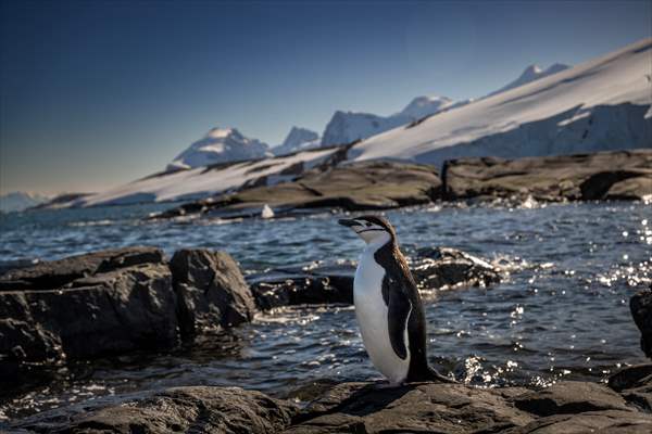 Turkiye's 10th National Antarctic Scientific Expedition has come to an end