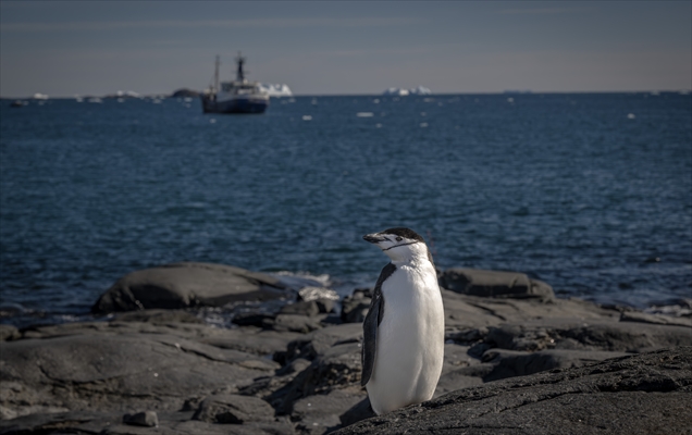 Turkiye's 10th National Antarctic Scientific Expedition has come to an end